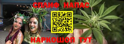 индика Назарово