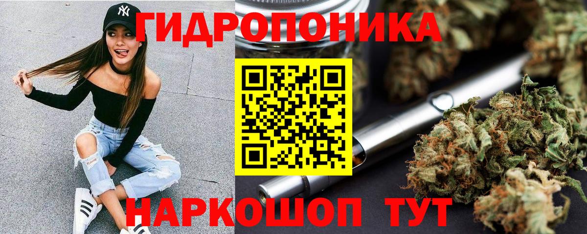 Кунгур  Канабис Bruce Banner  Бошки марихуана THC 21%  Вход с VPN  Марихуана марихуана 